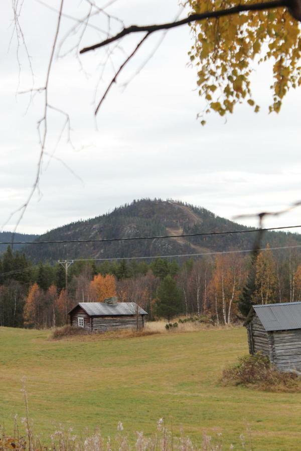 Backens Fjaellboende Tännäs Exteriér fotografie