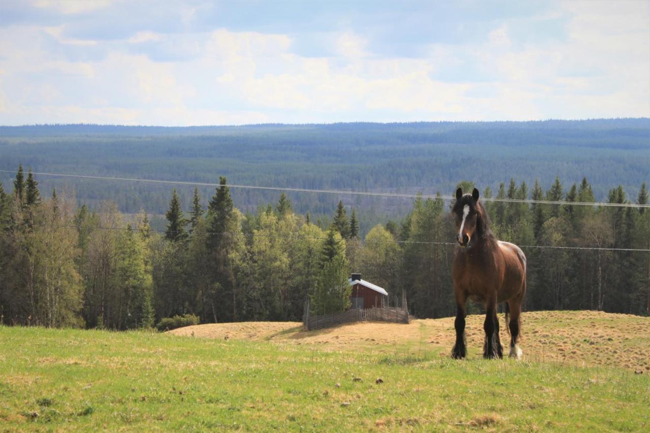 Backens Fjaellboende Tännäs Exteriér fotografie